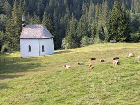Attachment